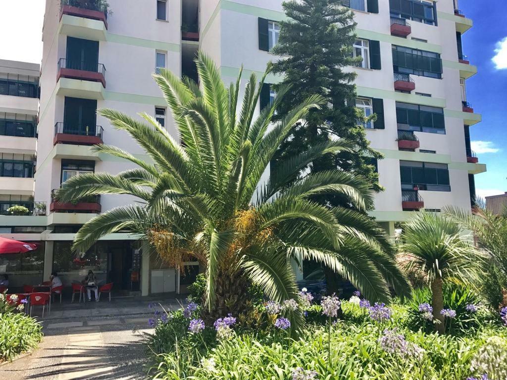 Funchal Apartament Marina View With Parking Free Zewnętrze zdjęcie